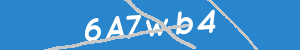 Introduzca el texto que aparece en la imagen